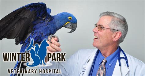 Winter park veterinary hospital - Winter Park Veterinary Hospital. 1601 LEE ROAD WINTER PARK, FL 32789 (407) 644-2676. Local Vet Near You Offering Veterinary Care for Dogs, Cats, Birds, Reptiles ... 